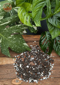 Monstera Potting Mix