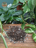 Houseplant Potting Mix