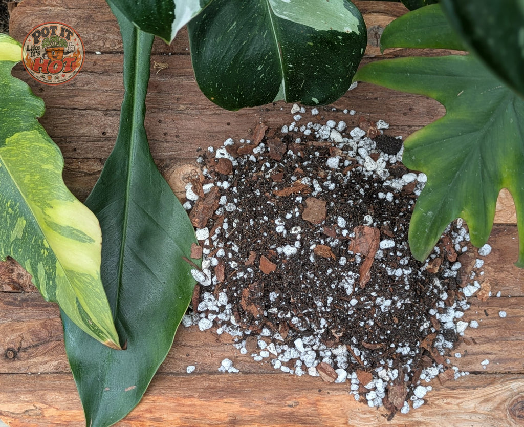Philodendron Potting Mix