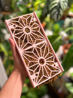 D-Shaped Moss pole - Starter Kit - Kumiko