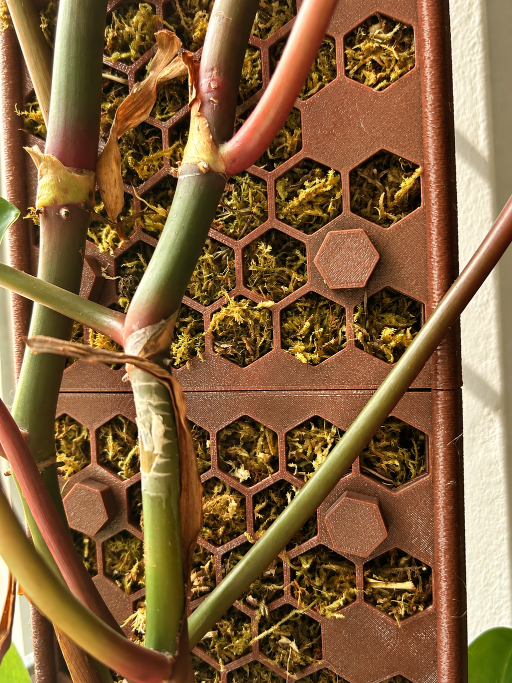 D-Shaped Moss Pole Extensions – Honeycomb