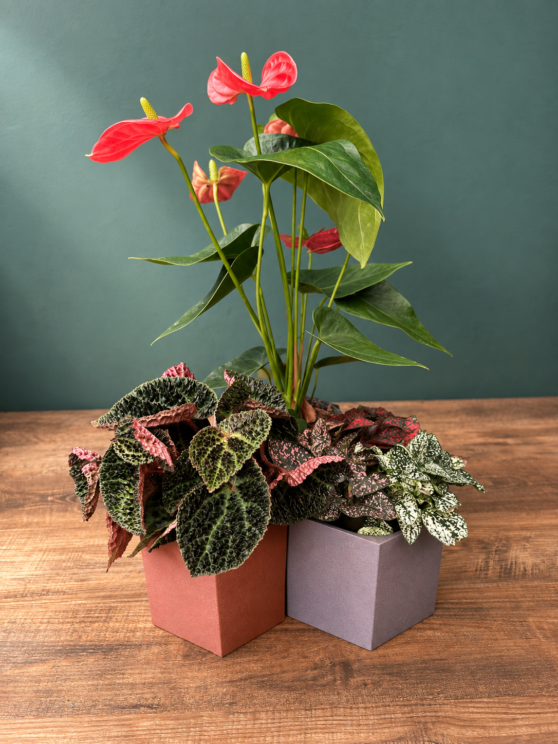 Hexagonal Plant Pot