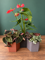 Hexagonal Plant Pot