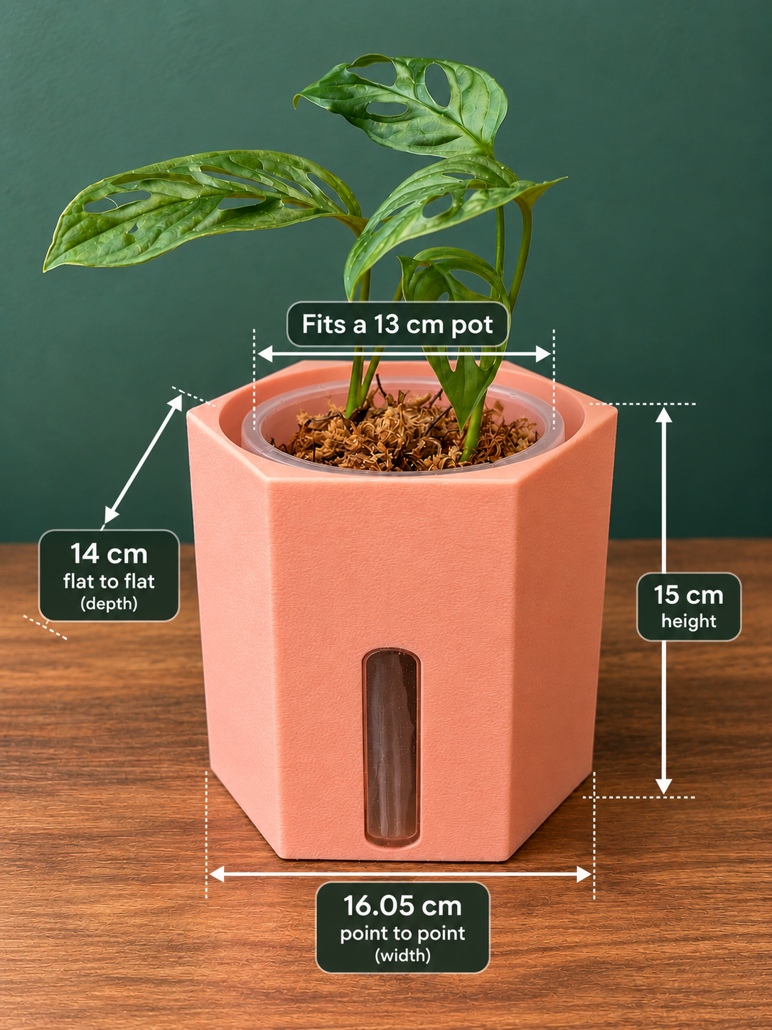 Semi Hydro plant pot - Hexagon