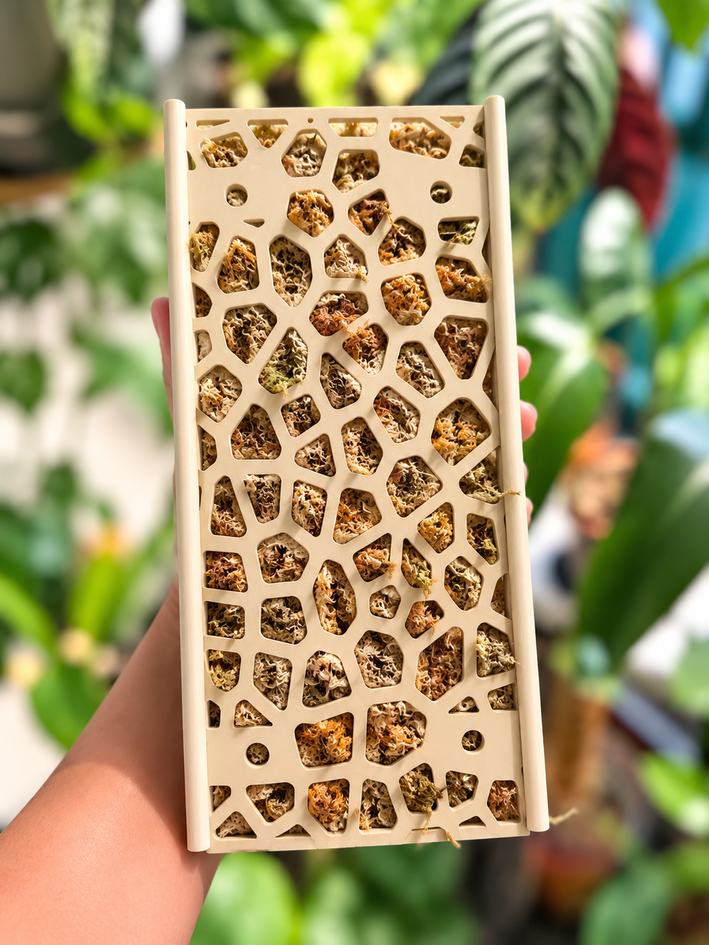 D-Shaped Moss pole - Starter Kit - Voronoi