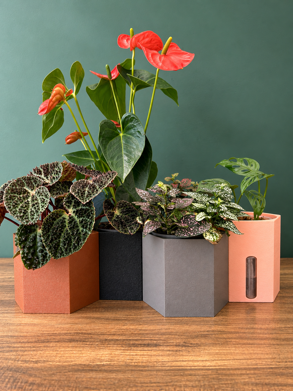 Semi Hydro plant pot - Hexagon