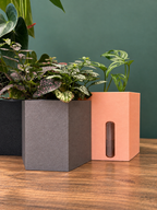 Semi Hydro plant pot - Hexagon