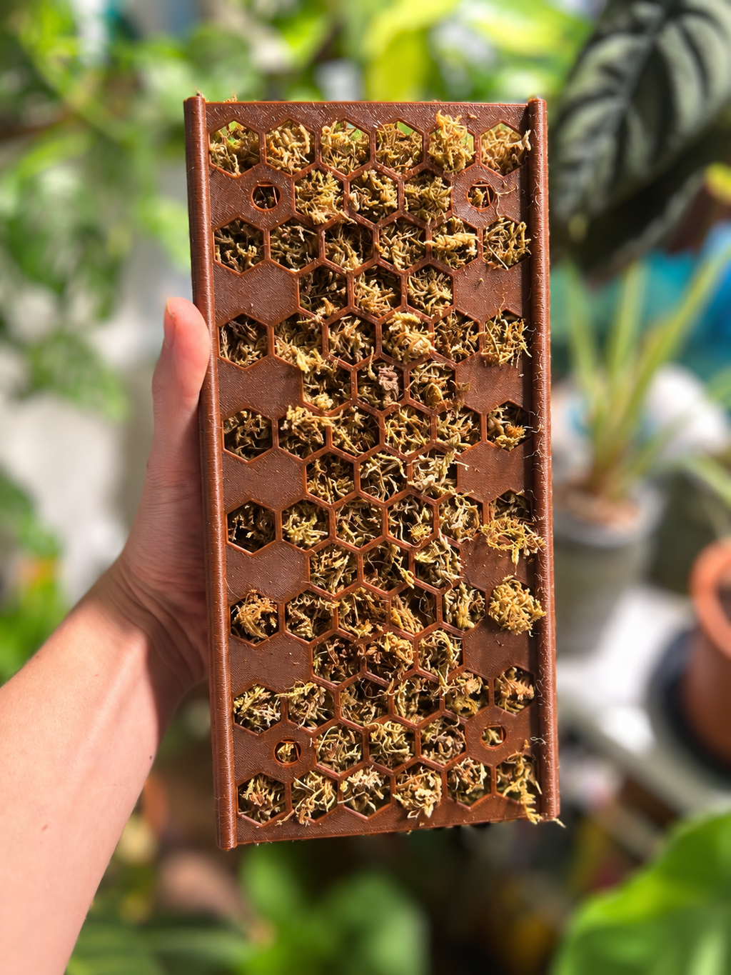 D-Shaped Moss pole - Starter Kit - Honeycomb