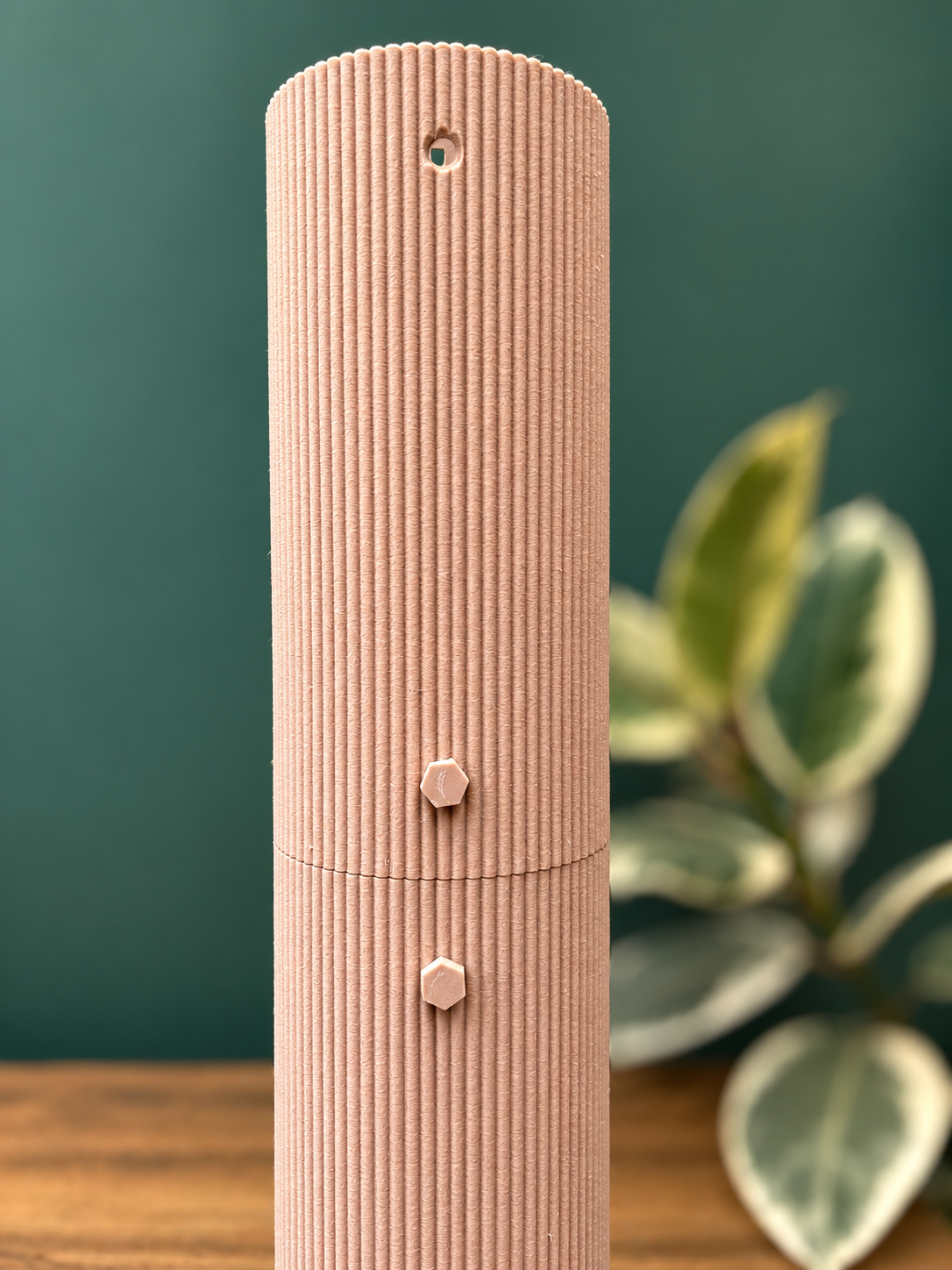 D-Shaped Moss pole - Starter Kit - Arabesque