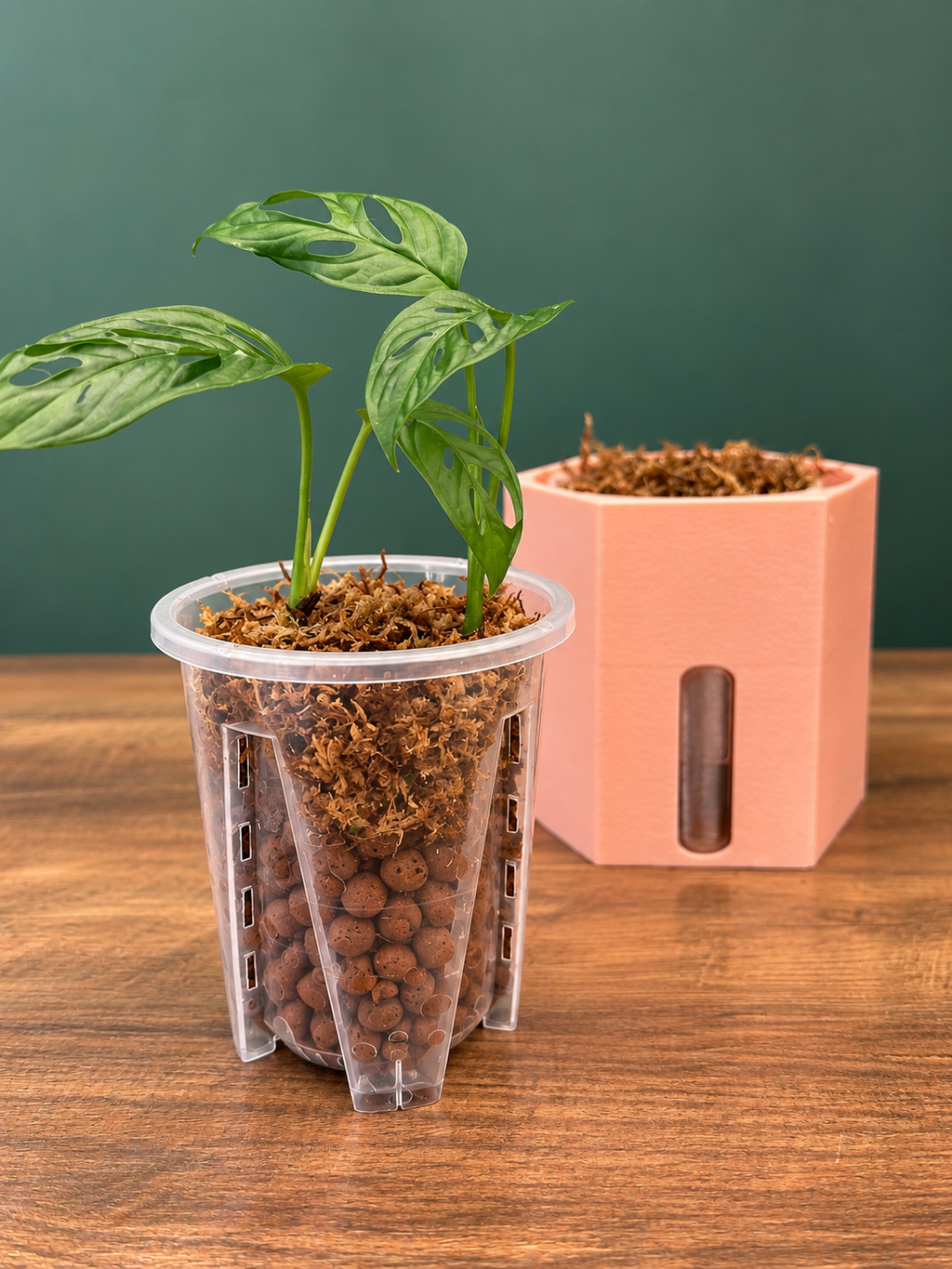 Semi Hydro plant pot - Hexagon