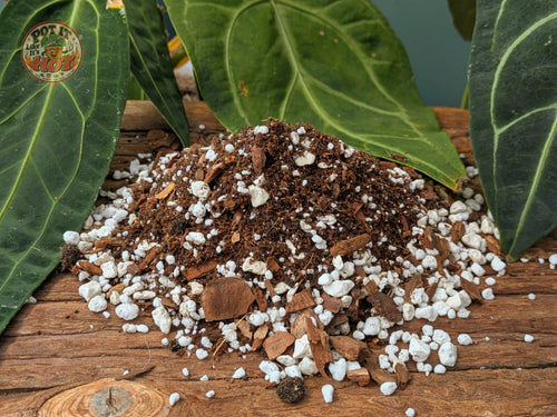 Anthurium Potting Mix