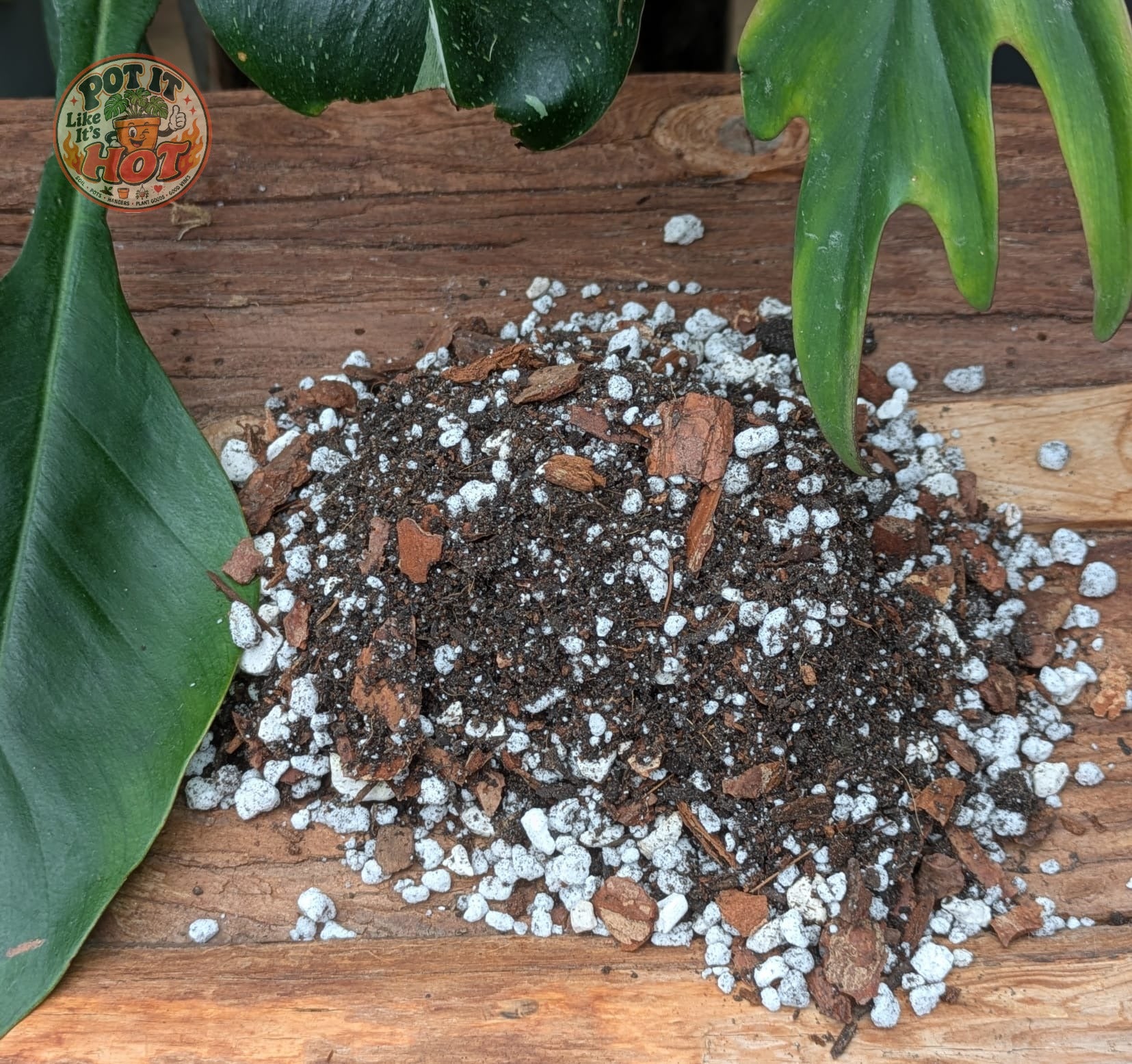 Philodendron Potting Mix