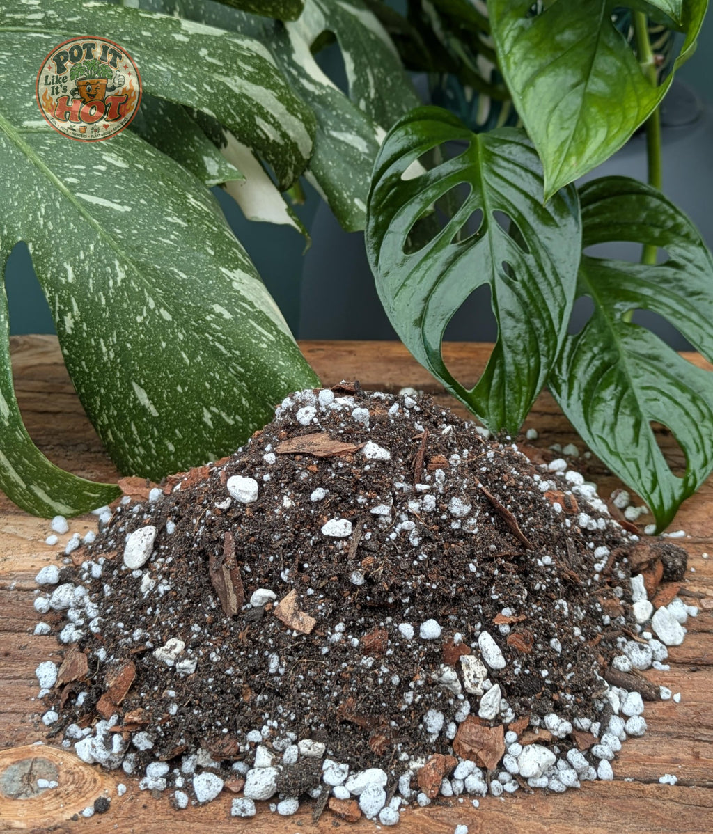 Monstera Potting Mix