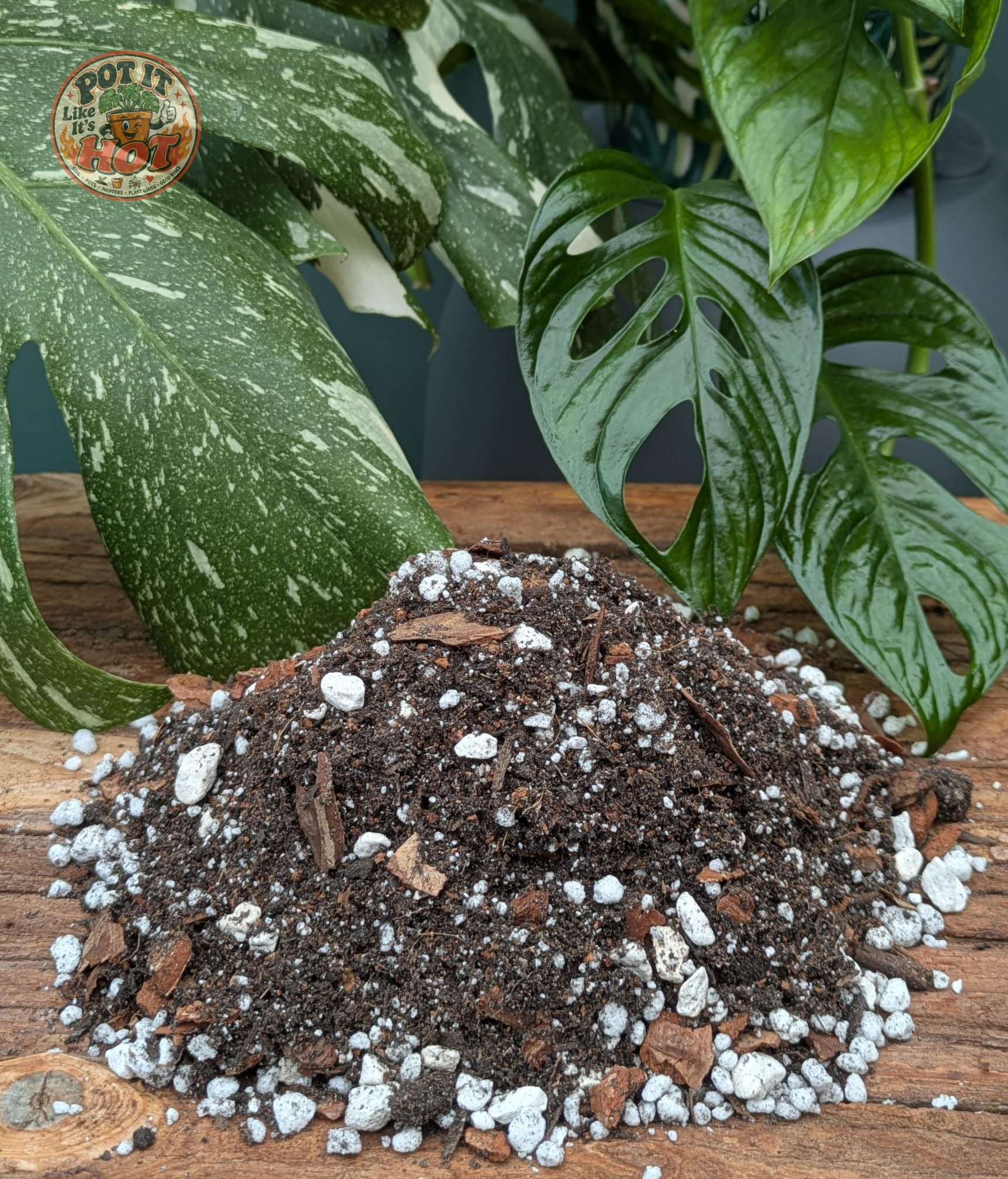 Monstera Potting Mix