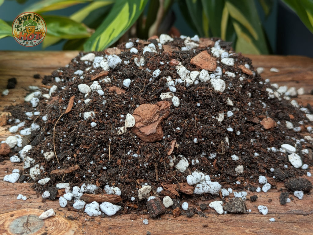 Calathea & Maranta Potting Mix
