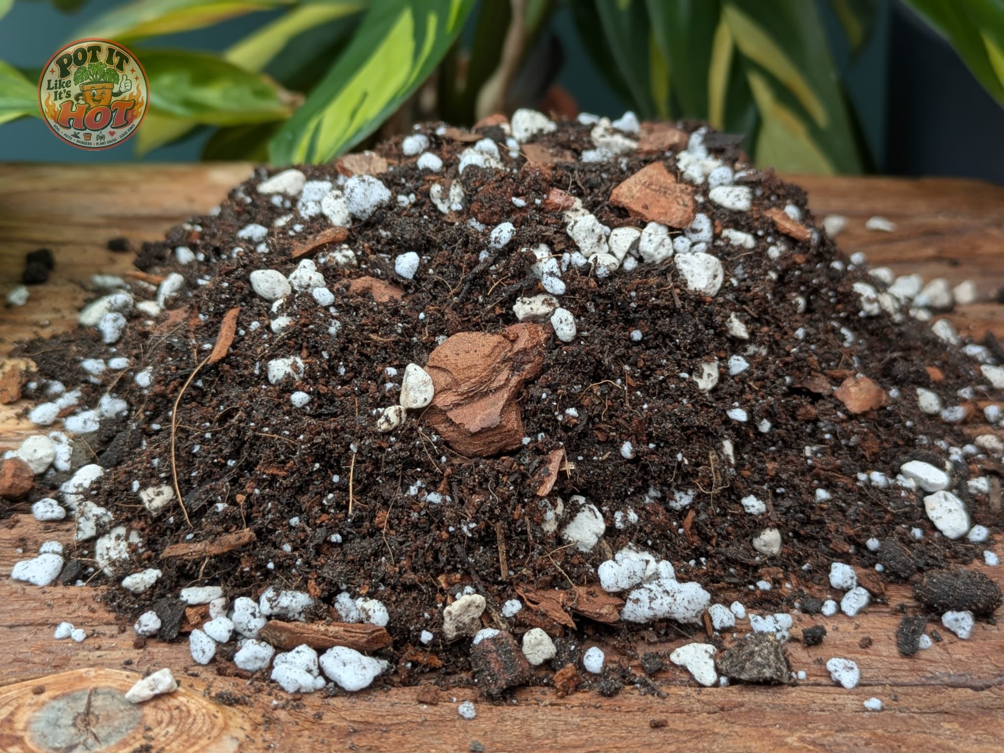 Calathea & Maranta Potting Mix