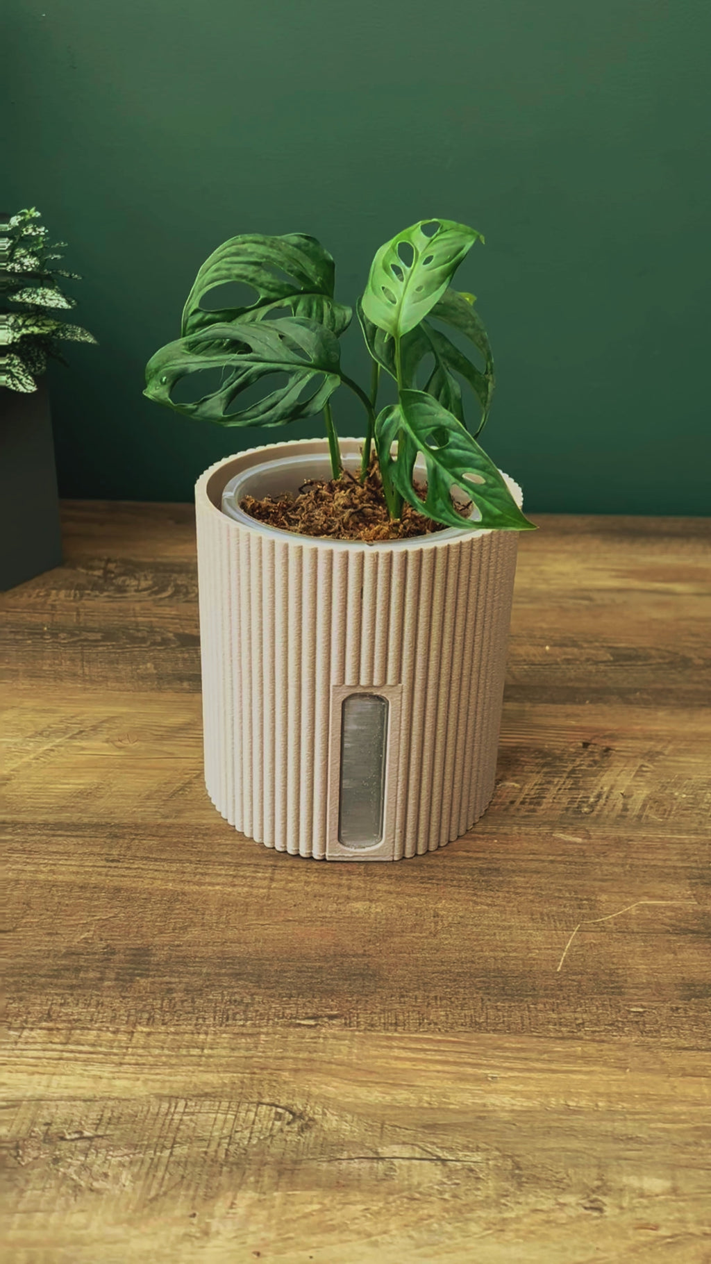 Semi Hydro Plant Pot – Ribbed