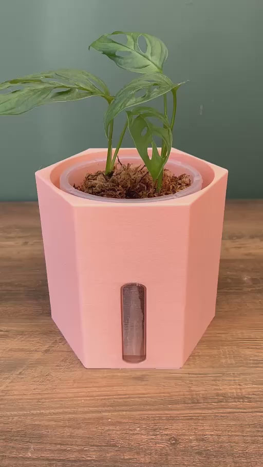 Semi Hydro plant pot - Hexagon