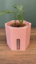 Semi Hydro plant pot - Hexagon